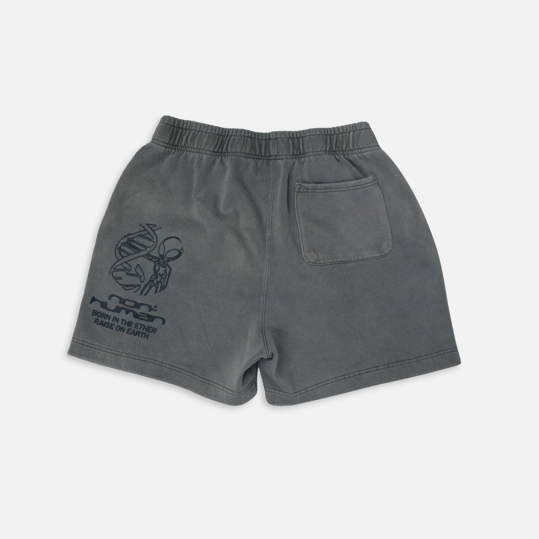 LTD 004